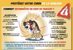 Cliquez pour agrandir l'image Cliquez pour agrandir l'image